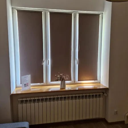 Pomorska 82 Centrum Netflix Lägenhet *